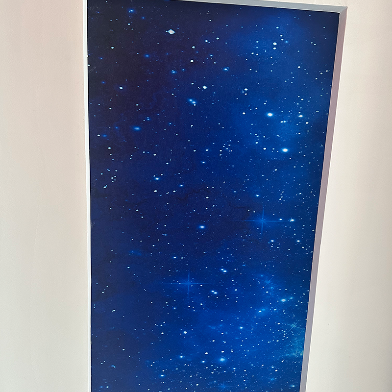 হোটেল কাস্টম গ্রাফিক সলিউশনের জন্য RGBW আধুনিক স্টার সিলিং লাইট কাস্টমাইজযোগ্য ডিজাইন ফাইবার অপটিক শুটিং 3D মডেল হোটেল কাস্টম গ্রাফিক সলিউশনের জন্য RGBW আধুনিক স্টার সিলিং লাইট কাস্টমাইজযোগ্য ডিজাইন ফাইবার অপটিক শুটিং 3D মডেল